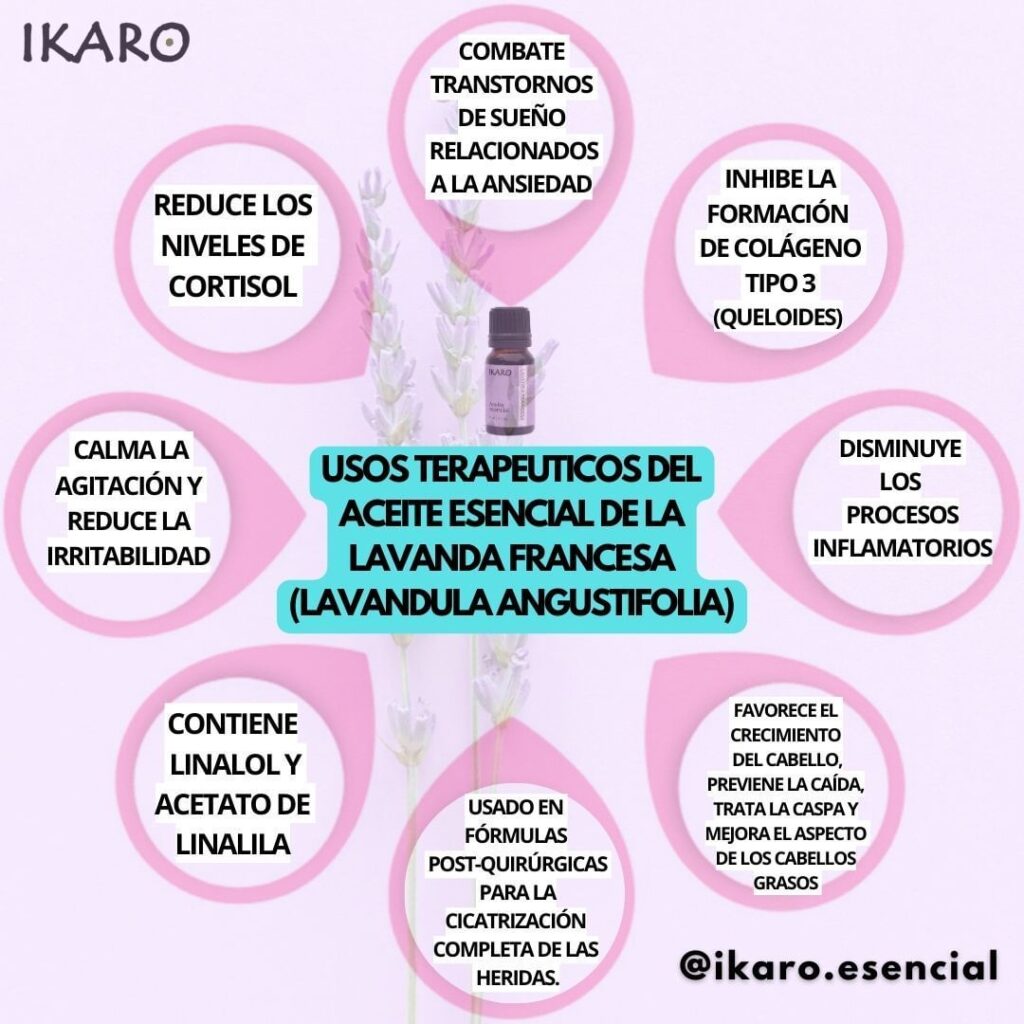 USOS TERAPÉUTICOS DEL ACEITE ESENCIAL DE LAVANDA FRANCESA