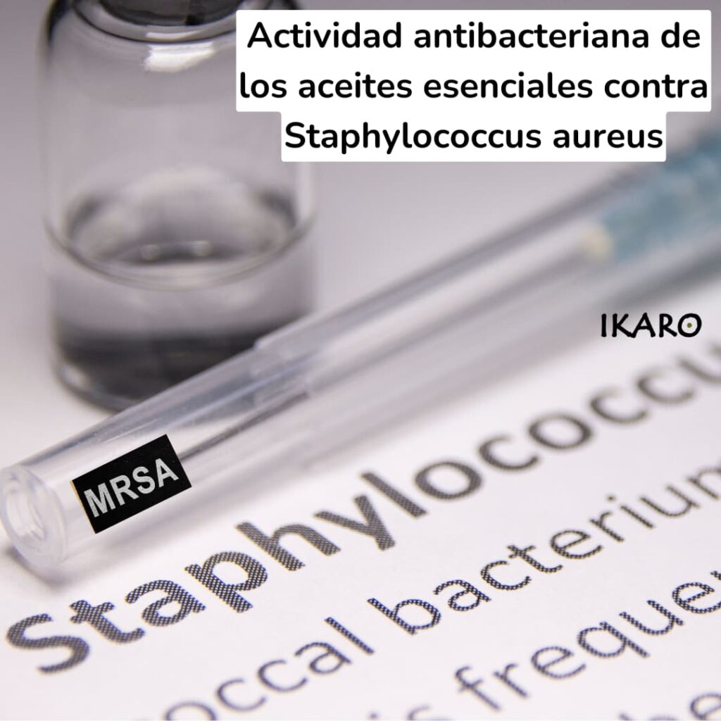 aceites esenciales antibacterianos y antivirales