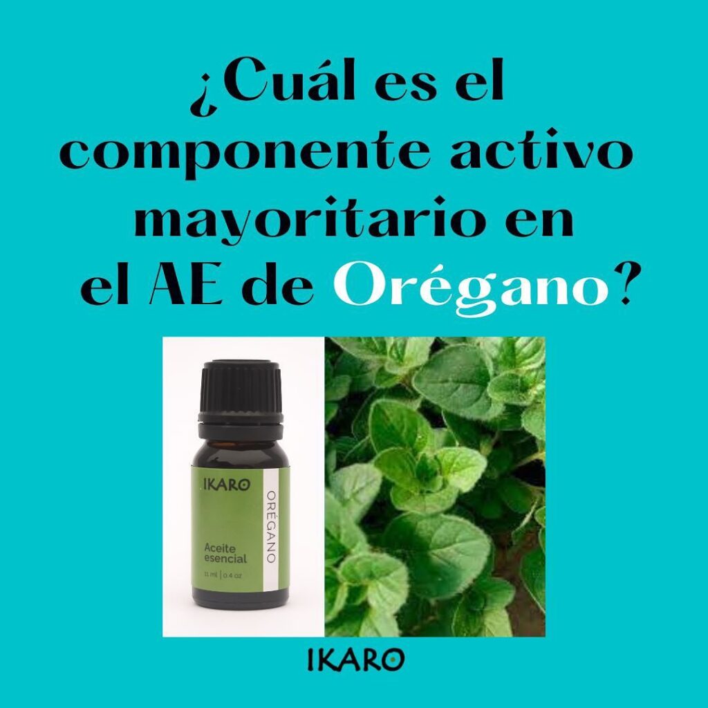 carvacrol en el aceite esencial de orégano