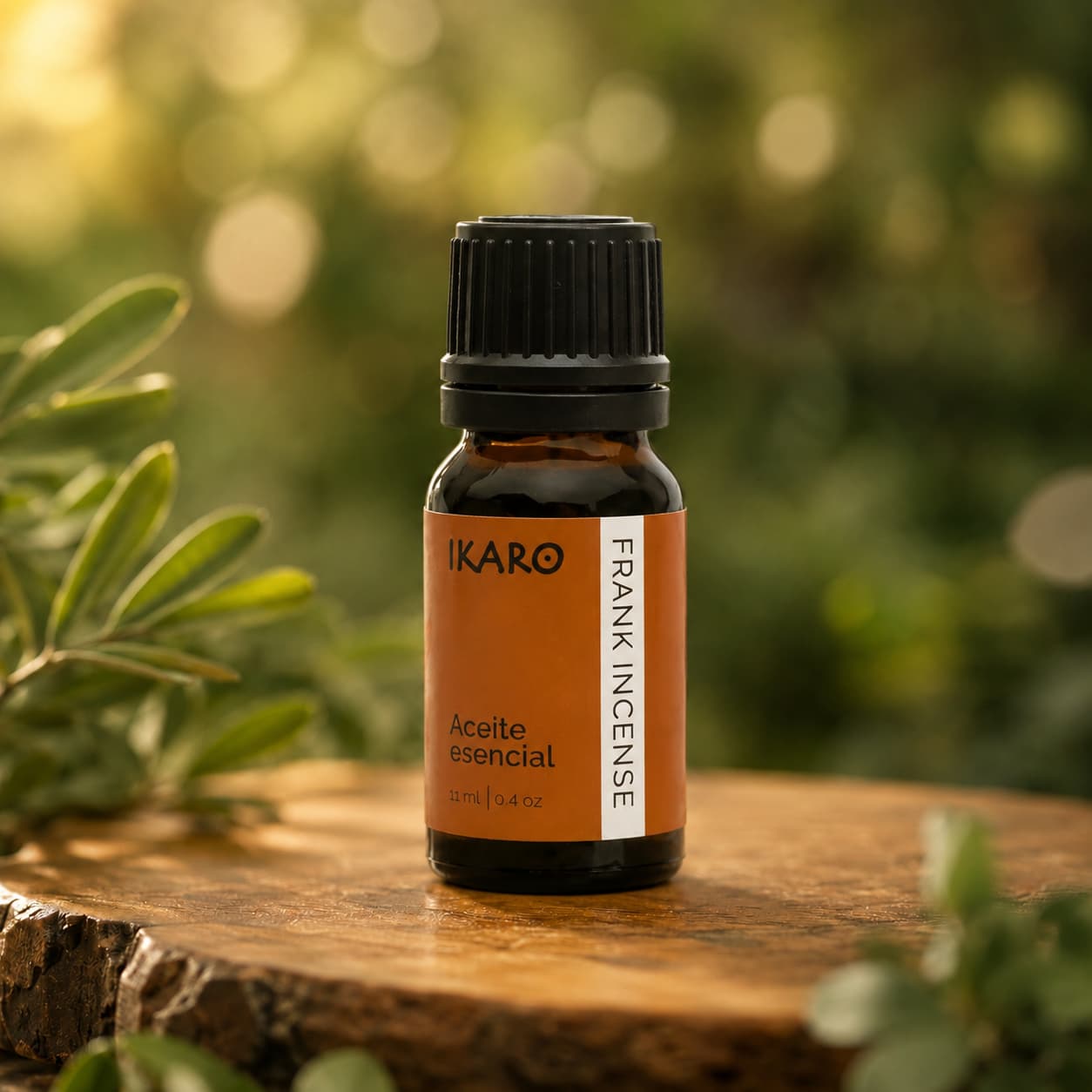 Aceite esencial de frankincense 11 ml puro IKARO – usos terapéuticos piel, relajación y meditación
