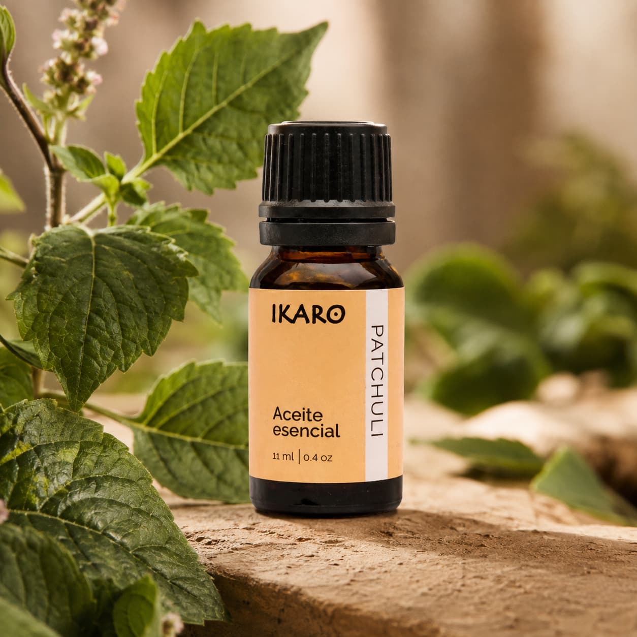 aceite esencial de patchouli IKARO 10 ml – propiedades y usos