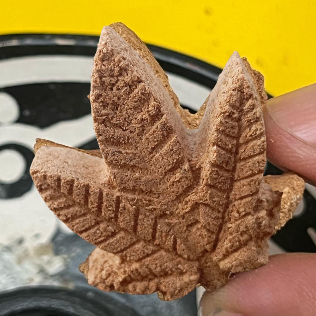 la-hoja-santa-incienso-ikaro.pe