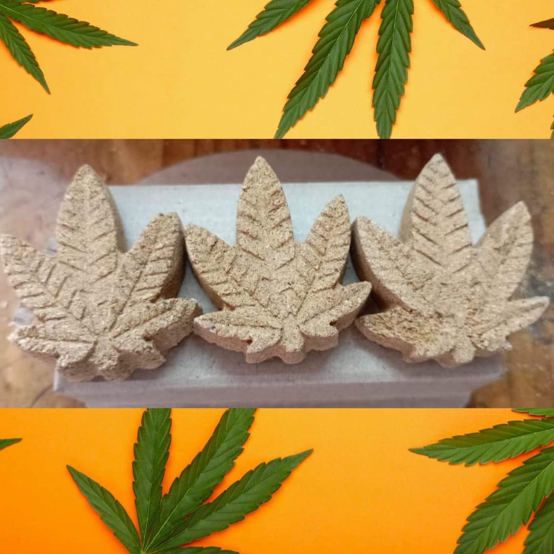 hoja-santa-inciensos-ikaro.pe