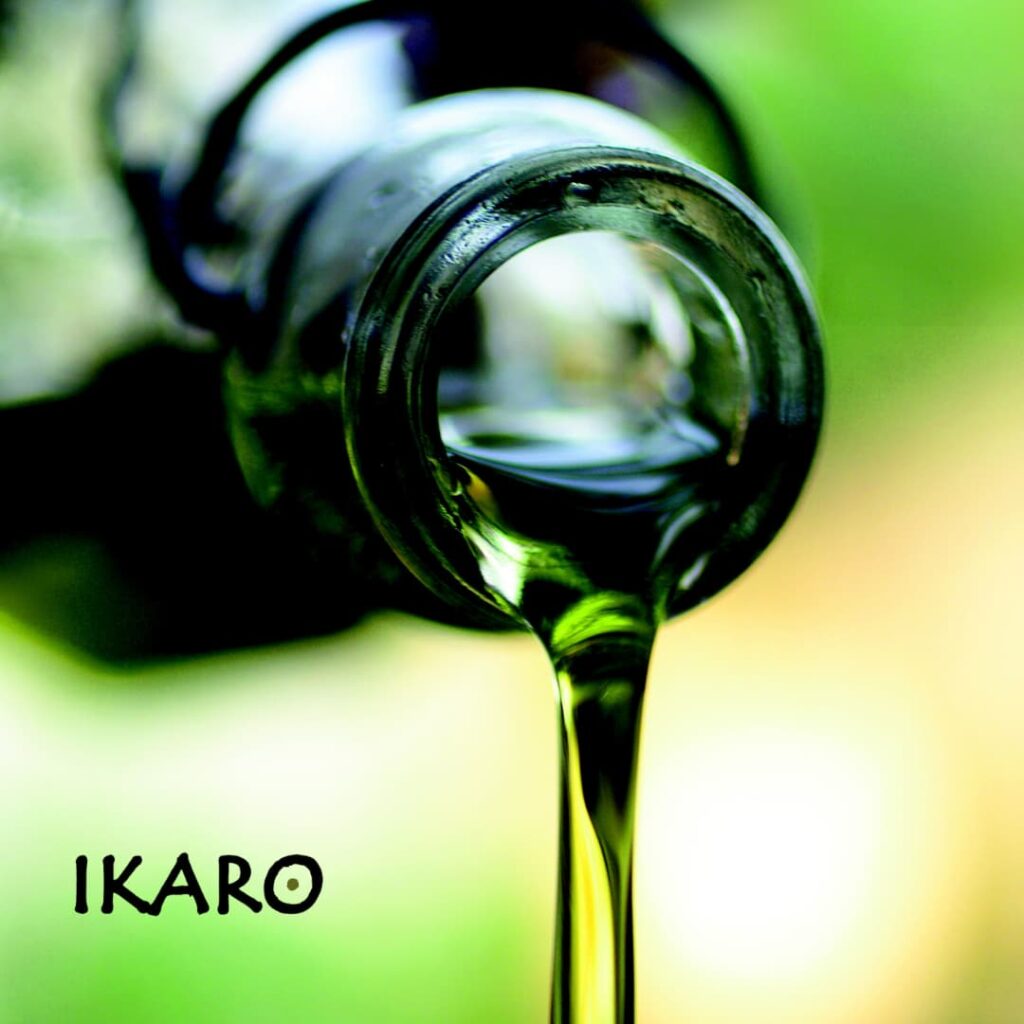 Aceites Vegetales y Ácidos Grasos: Fundamentos para el Cuidado de la Piel y la Salud Cutánea