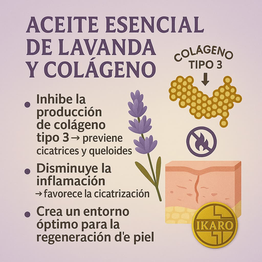 aceite esencial de lavanda y colágeno: evidencia de cicatrización y cuidado de la piel