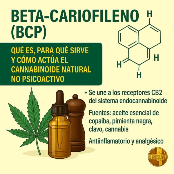 beta-cariofileno beneficios cannabinoide natural no psicoactivo