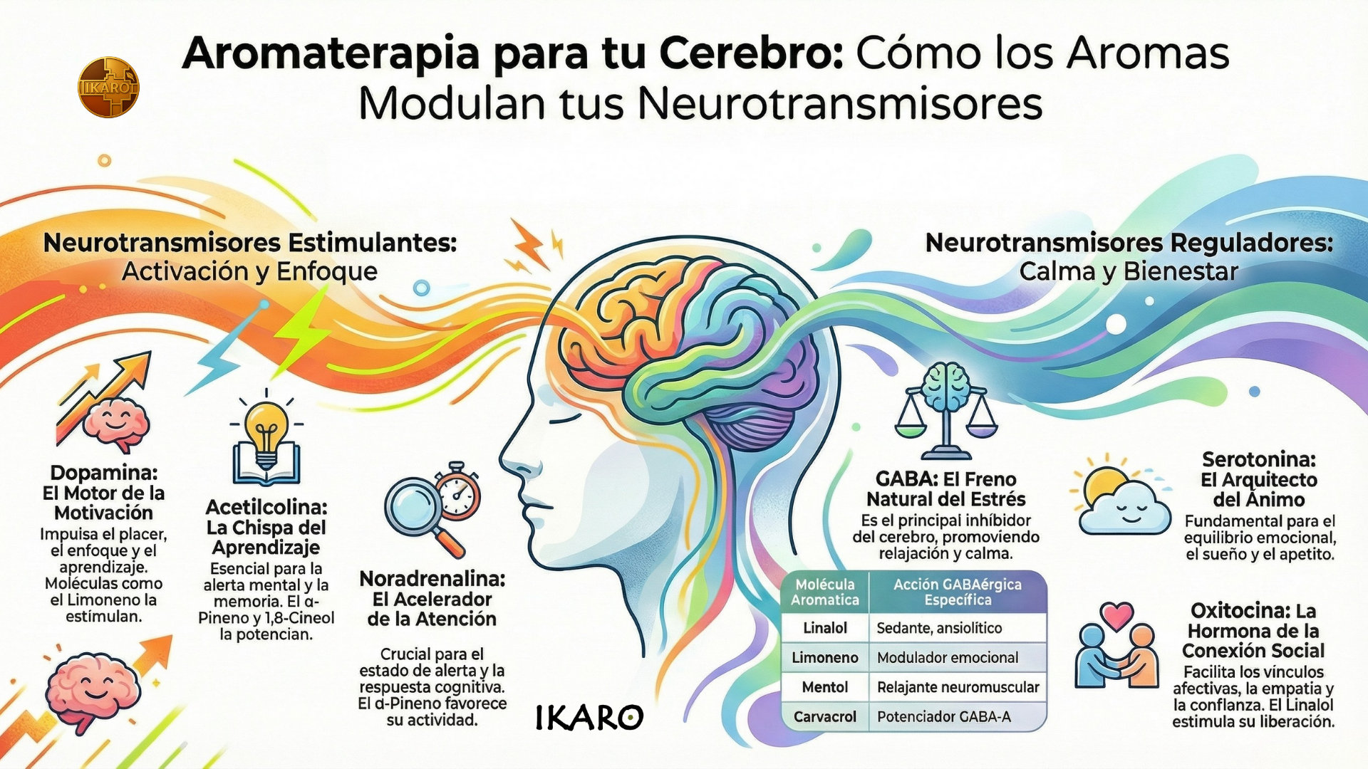 Aromaterapia y cerebro: cómo los aromas modulan neurotransmisores como dopamina, serotonina y GABA